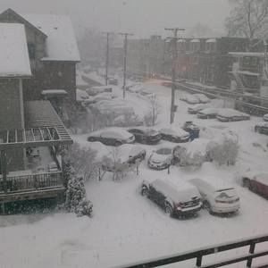 Meet your Posher, Neyla